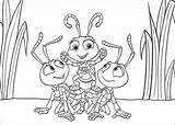 Coloring Life Bugs Pages Popular sketch template