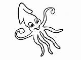 Squid Calamar Designlooter Getdrawings sketch template