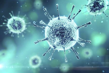 clean  disinfecting viruses   pathogens