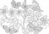 Kolorowanki Kwiaty Kolorowanka Druku Motyle Motylki Kwiatki Drukowania Planetadziecka sketch template