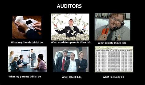 funny auditor quotes shortquotescc