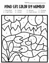 Pond Kindergarten Math Printable Prek Recognition sketch template