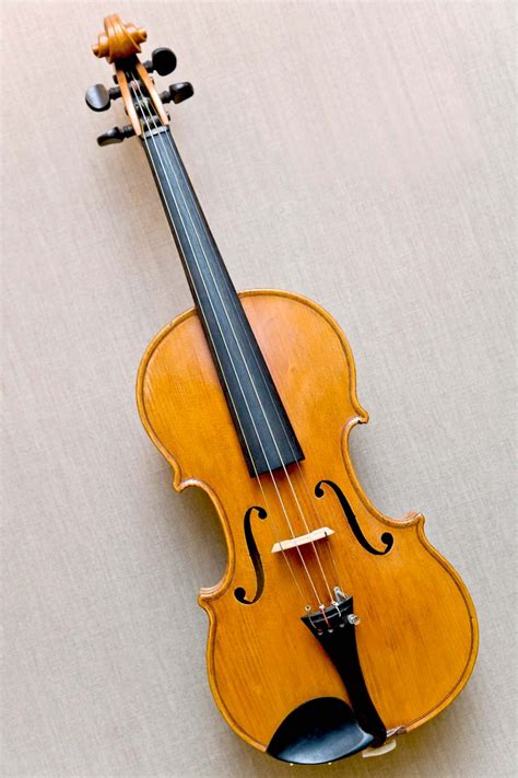 violin pics linuxmint image search results violin violin pics learn violin