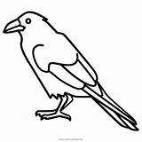 Raven Gagak Cuervo Mewarnai Colorir Burung Songbird Aves Beatles Monochrome Pngegg Ultracoloringpages sketch template