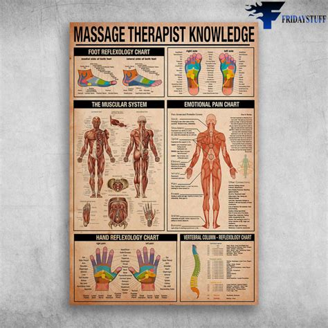 Massage Therapist Knowledge Foot Reflexology Chart The Muscular System