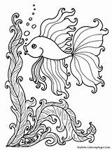 Coloring Pages Tropical Fish Kids Adults Popular sketch template