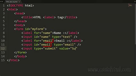html label tag youtube