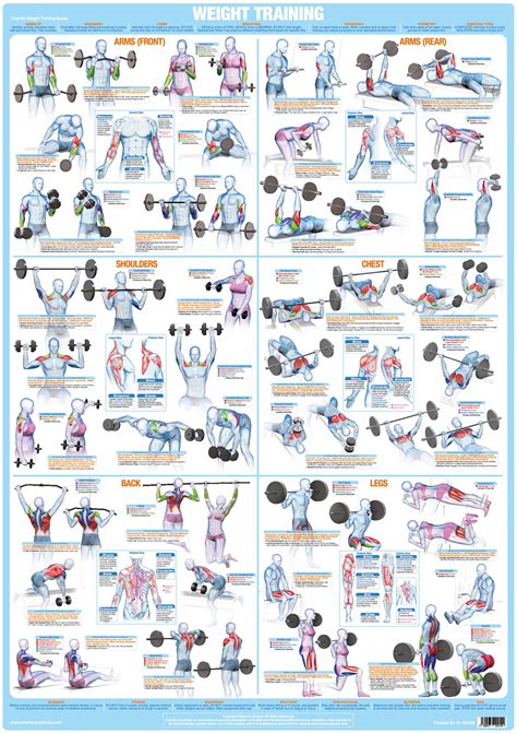 range  exercise  fitness charts