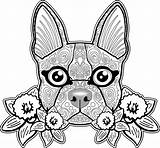 Bulldog Colouring Colorear Bestcoloringpagesforkids Adultes Psy Reduction Meilleur Moins Chiens Coloriages Paints Crayons Coloringpages sketch template