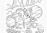 Bambi Coloring Pages Thumper sketch template