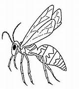 Coloring Wasp Pages Insekten Insect Malvorlagen Nests Wasps 300px 33kb Coloringpages1001 Pinnwand Auswählen Template sketch template