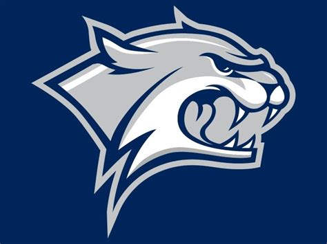 13 Best Wiley Wildcat Logo And Jersey Inspiration Images