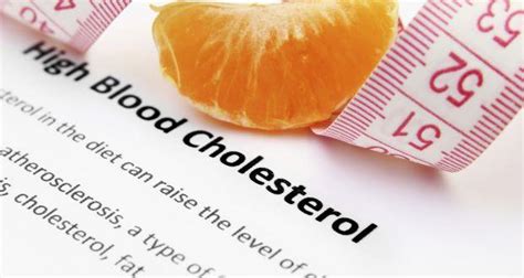 cholesterol control mega guide all you need to know to prevent heart disease read health