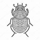 Beetle Coloring Scarab Book Stock Illustration Vector Adults Alexanderpokusay Depositphotos sketch template