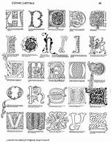 Illuminated Gothic Letters Shepherd Margaret Assorted Kells Book Calligraphy Medieval Illumination Alphabet Lettering Capitals Manuscript Letter Margaretshepherd Manuscripts Choose Board sketch template