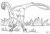 Jurassic Dilophosaurus Ausmalbild Colorare Kolorowanki Dinosaurs Dinosaur Ausdrucken Velociraptor Dilofossauro Supercoloring Disegni Kostenlos Druku Rhamphorhynchus Malvorlagen sketch template