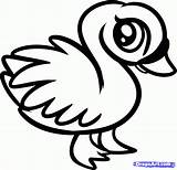 Coloring Baby Pages Cute Animal Dragoart Animals Draw Swan Birds Online Popular sketch template