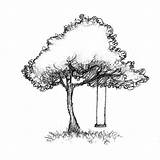 Schaukel Baum Zeichnen Bleistift Oak Zeichnung sketch template