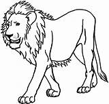 Lion Coloring Pages Printable Color Animals Print sketch template