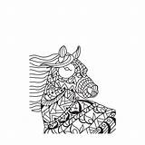 Kleurboek Paardenhoofd Voor Paarden Kleurplaat Volwassenen sketch template