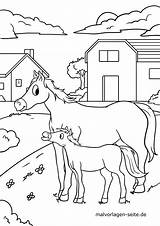 Bauernhof Pferde Malvorlage Pferd Hunde Malvorlagen Kinderbilder sketch template