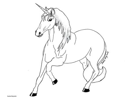 unicorn coloring pages pegasus   zebra unicorn art