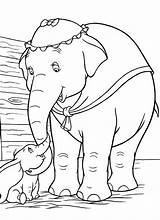 Dumbo Ausmalbilder Colorir Imprimir Elefante Elephant Ausmalbild Dibujar Info Letzte Insertion sketch template
