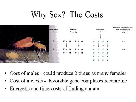 why sex the costs