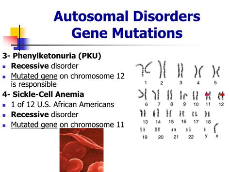 Ppt Genetic Disorders Powerpoint Presentation Free Download Id 444219
