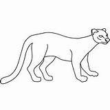 Fossa Coloring Draw Step Learn Designlooter Animals Quick Sketch Tutorial 99kb 300px sketch template