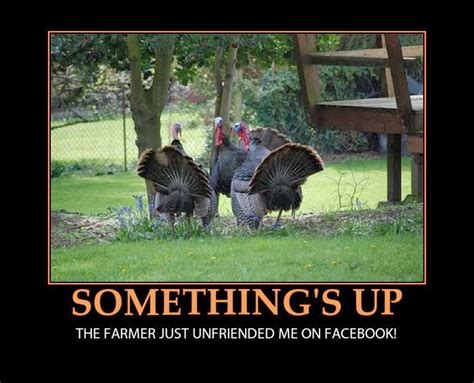 Happy Funny Thanksgiving 2017 Funny Thanksgiving Pictures