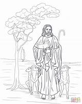 Coloring Shepherd Jesus Good Pages Printable Bible Kids Catholic Color Sheep Supercoloring Crafts Parables Sheets Lamb Adult Lost Decorativo Fieltro sketch template