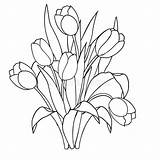 Ornamental Tulips sketch template