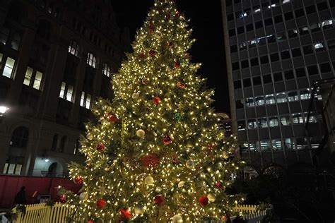 city  milwaukee welcomes holiday season   christmas tree lighting  milwaukee
