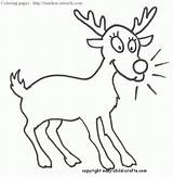Coloring Reindeer Pages Winter Animals Kids Easy Color Animal Templates Printable Christmas Template Print Miracle Timeless Comments Outline Sheets Library sketch template