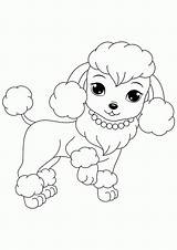 Coloring Pages Poodles Poodle Printable Dogs Popular Kids Puppies sketch template