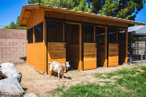 custom goat barn weed em reap