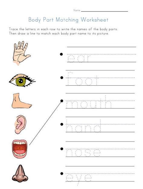 body parts worksheet kindergarten  mark wilsons kids worksheets
