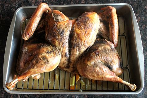 Spatchcock Turkey Recipe Alton Brown
