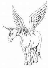 Pferde Ausmalen Colorear Einhorn Unicornios Pegasus Unicornio Unicorno Disegno Unicorni Alas Licorne Raskrasil Arcobaleno sketch template