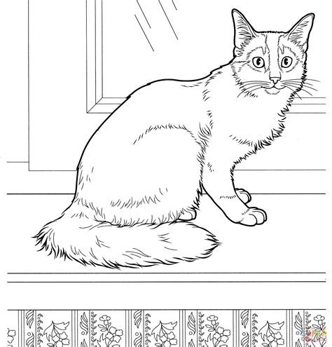 awesome photograph calico cat coloring page differences