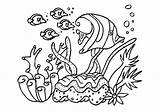 Coloring Coral Pages Sea Reef Fish Ocean Plants Aquarium Under Kids Drawing Life Group Sealife Barrier Great Snake Preschool Animals sketch template