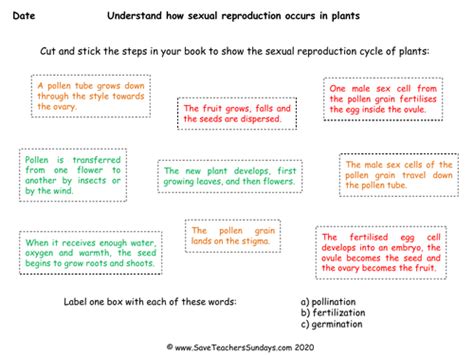sexual reproduction in plants ks2 lesson plan and
