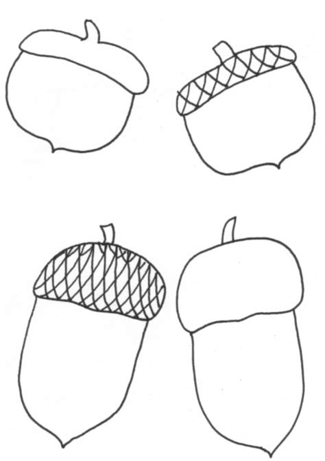 acorn outlines