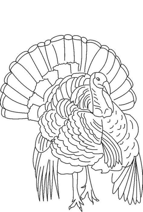 The King Of Wild Turkey Coloring Pages Turkey Coloring