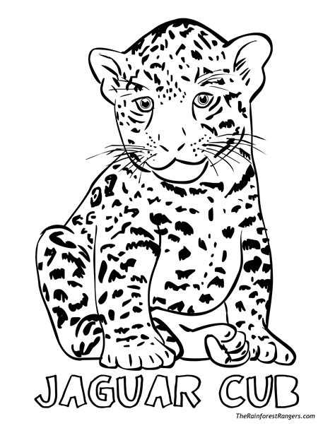 jungle animals coloring pages  getcoloringscom  printable