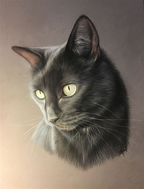 black cat realism catsxi