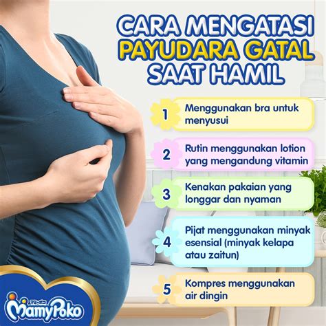 mengatasi payudara gatal  hamil mamypoko indonesia
