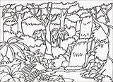 Colorir Selva Natureza Desenhos Colorironline sketch template