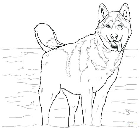 german shepherd realistic dog coloring pages click  german